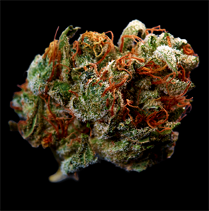 cannabis flowers for sale